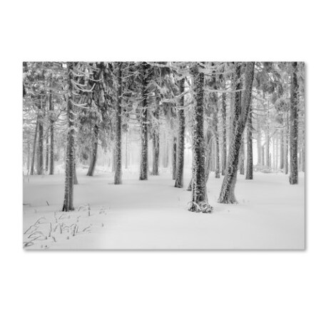Trademark Fine Art Philippe Sainte-Laudy 'Frozen World' Canvas Art, 30x47 PSL0465-C3047GG